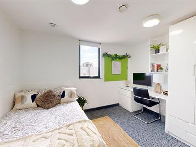 Picture 7